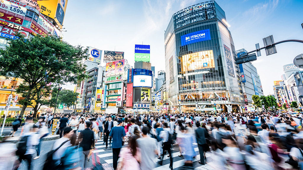 Matcha in Japan: From Tea Ceremony to Everyday Enjoyment